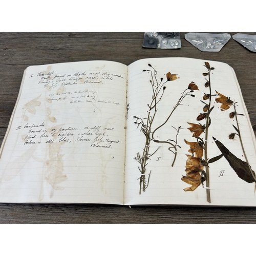 653A - A 1930s Herbarium book containing various preserved specimens