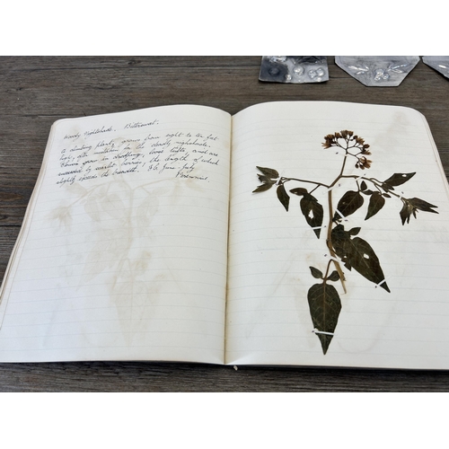 653A - A 1930s Herbarium book containing various preserved specimens