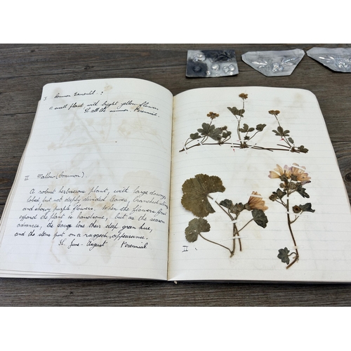 653A - A 1930s Herbarium book containing various preserved specimens