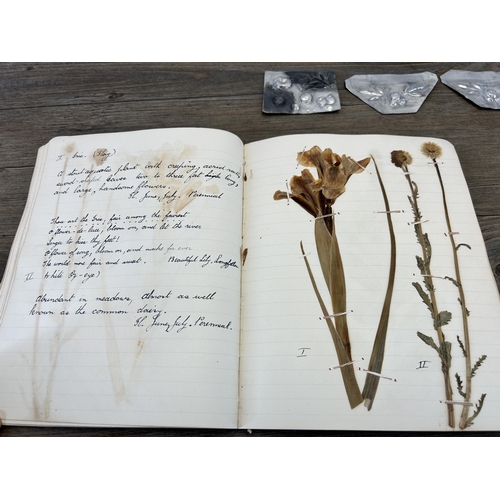 653A - A 1930s Herbarium book containing various preserved specimens