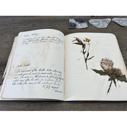 653A - A 1930s Herbarium book containing various preserved specimens