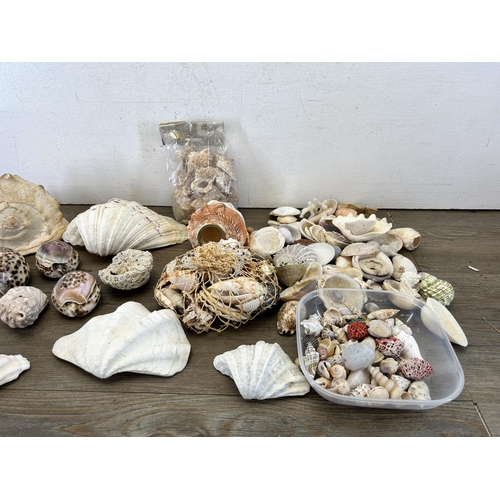 661 - A collection of seashells