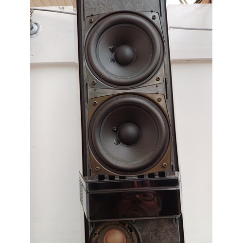 650 - A pair of Bang & Olufsen Beovox Penta Passive type 6611 floor standing nine-way hi-fi speakers with ... 