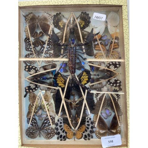 598 - Two vintage display cases containing insect specimens to include butterflies, scorpion, moths etc. -... 