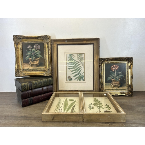 534 - Eight items, three antique style book shaped storage boxes, three framed 19th century style botanica... 