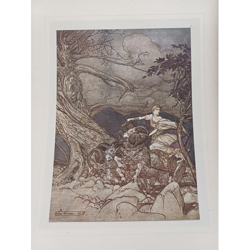 507J - A large collection of early 20th century Arthur Rackham book illustrations