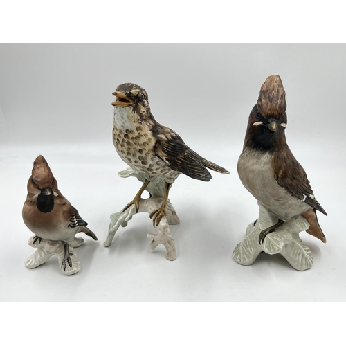 307 - Three Goebel porcelain bird figurines, two Waxwings and one Song Thrush - largest approx. 17cm high