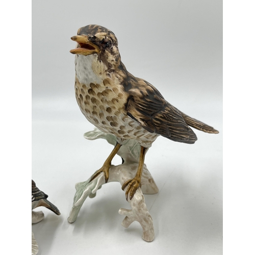 307 - Three Goebel porcelain bird figurines, two Waxwings and one Song Thrush - largest approx. 17cm high