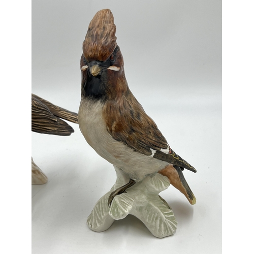 307 - Three Goebel porcelain bird figurines, two Waxwings and one Song Thrush - largest approx. 17cm high