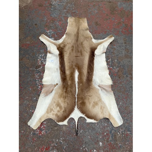 163 - A springbok hide rug - approx. 110cm x 77cm