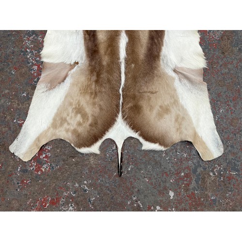 163 - A springbok hide rug - approx. 110cm x 77cm