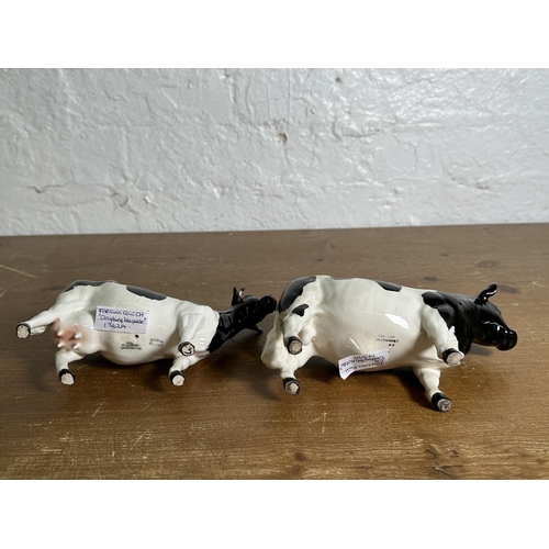 336 - Three Beswick Friesian Cattle figurines, Claybury Leegwater Cow no. 1362A, Calf no. 1249C and CH. Co... 