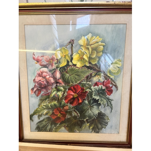 256 - Fourteen framed botanical pictures to include watercolors by Rosalie Jordan, prints etc.