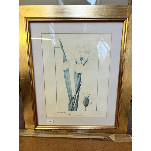 256 - Fourteen framed botanical pictures to include watercolors by Rosalie Jordan, prints etc.