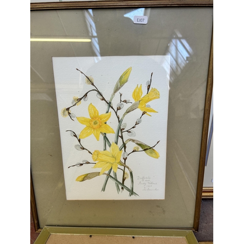 256 - Fourteen framed botanical pictures to include watercolors by Rosalie Jordan, prints etc.