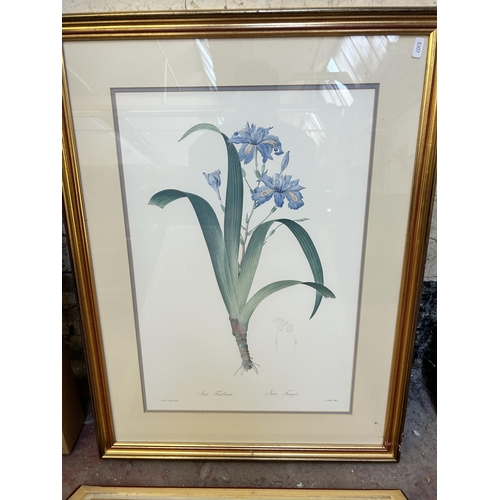 256 - Fourteen framed botanical pictures to include watercolors by Rosalie Jordan, prints etc.