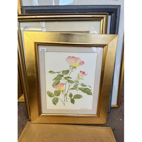 256 - Fourteen framed botanical pictures to include watercolors by Rosalie Jordan, prints etc.