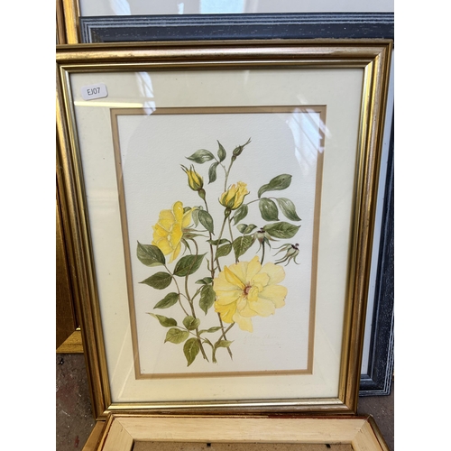 256 - Fourteen framed botanical pictures to include watercolors by Rosalie Jordan, prints etc.