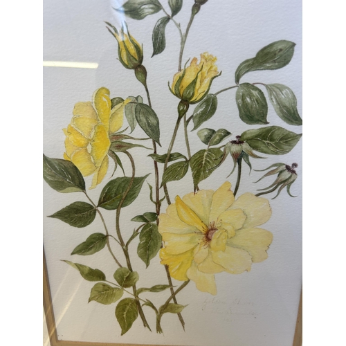 256 - Fourteen framed botanical pictures to include watercolors by Rosalie Jordan, prints etc.