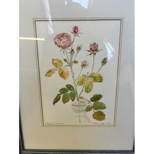 256 - Fourteen framed botanical pictures to include watercolors by Rosalie Jordan, prints etc.