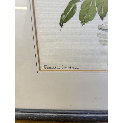 256 - Fourteen framed botanical pictures to include watercolors by Rosalie Jordan, prints etc.