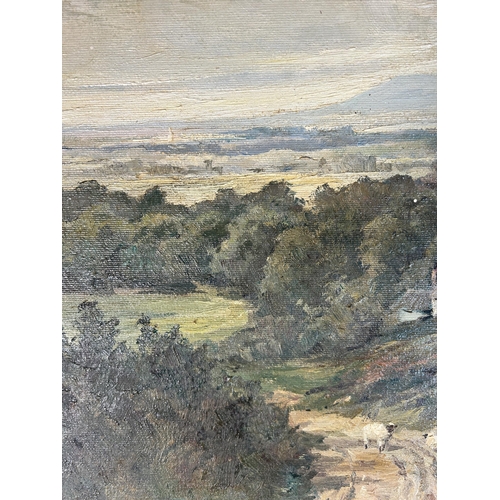 261 - A mid 20th century gilt framed oil on canvas of a landscape scene signed D. Haworth - approx. 51cm h... 