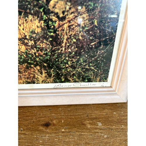 295 - A framed Eleanor Chandler signed limited edition 287 of 300 photograph - approx. 56cm high x 66cm wi... 