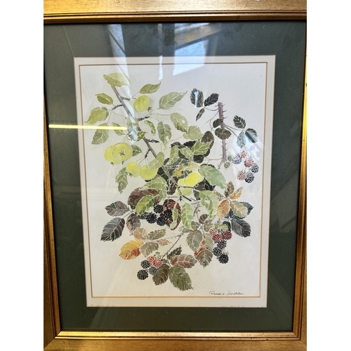 255 - Fourteen framed botanical pictures to include watercolours by Rosalie Jordan, prints etc.