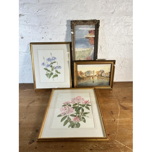 242 - Four framed pictures, two botanical watercolours, one oil on board of a woodland scene and one early... 