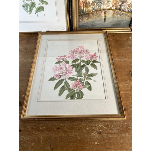 242 - Four framed pictures, two botanical watercolours, one oil on board of a woodland scene and one early... 