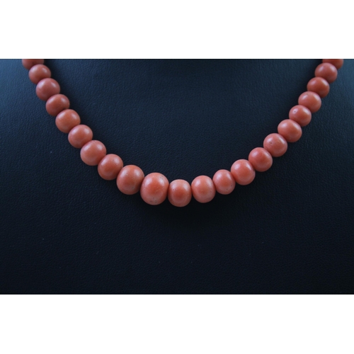 2440 - A coral bead necklace with silver clasp - approx. gross weight 31g