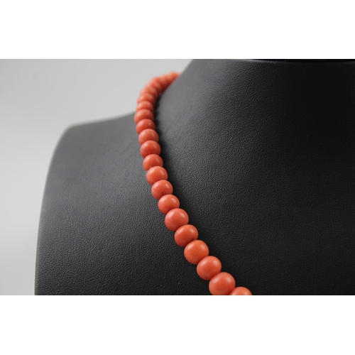 2440 - A coral bead necklace with silver clasp - approx. gross weight 31g