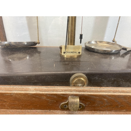 537 - A set of early 20th century oak cased Griffin & Tatlock Ltd of London analytical balance scales