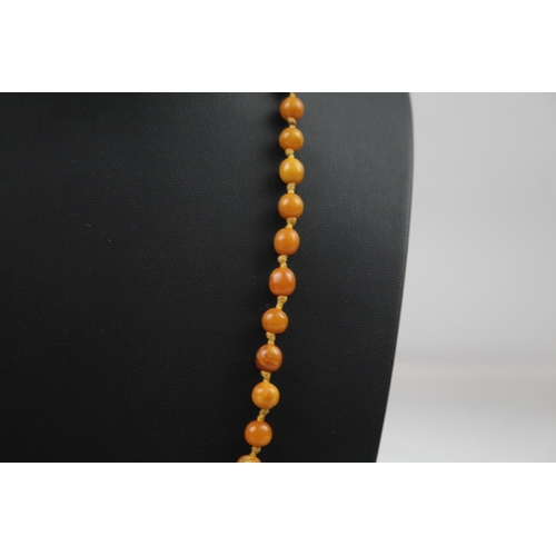 2316 - An antique individually knotted amber necklace - approx. gross weight 13g