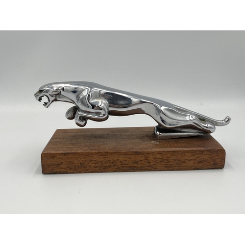 2354 - A vintage Jaguar chrome plated car mascot on oak plinth