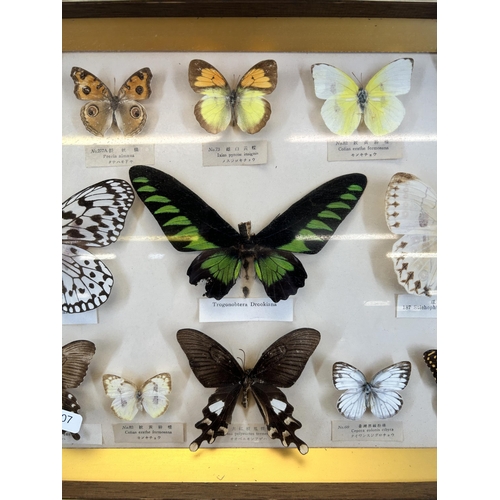 552 - A framed Entomology Collection