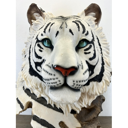 577 - A large resin white tiger bust - approx. 62cm high x 52cm wide