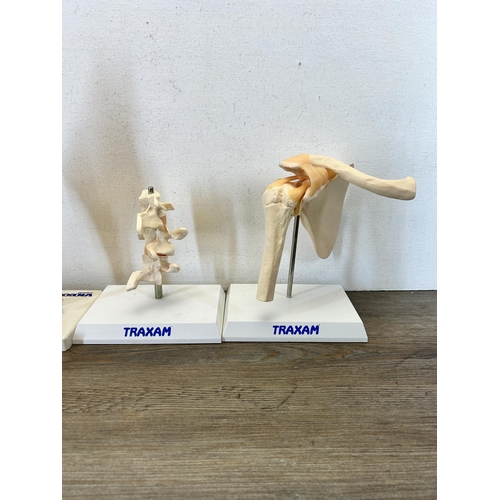 589 - Four mid 20th century plastic and resin educational anatomical figurines - largest approx. 29cm high