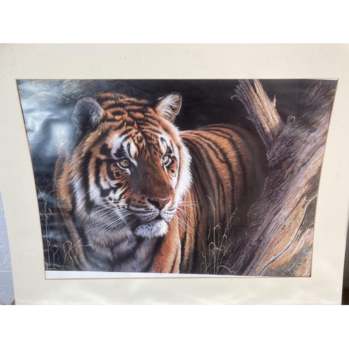 257 - Eight unframed animal prints to include Kim Thompson tiger, Trevor Taylor pencil signed horses etc.