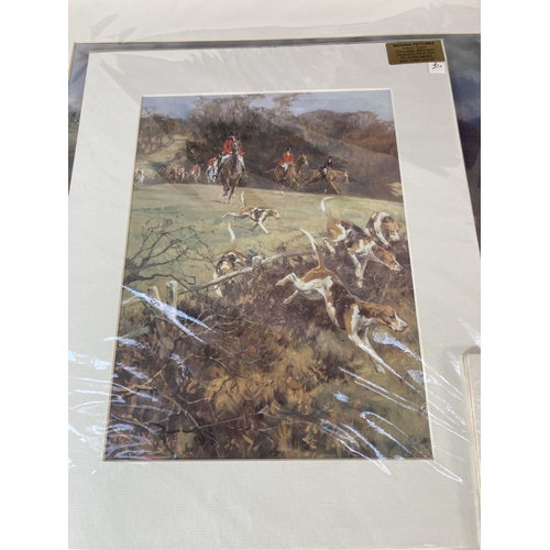 257 - Eight unframed animal prints to include Kim Thompson tiger, Trevor Taylor pencil signed horses etc.