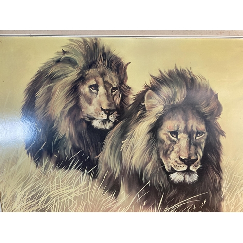 261 - A mid 20th century framed Parkhurst lion and zebra print - approx. 68cm high x 121cm wide