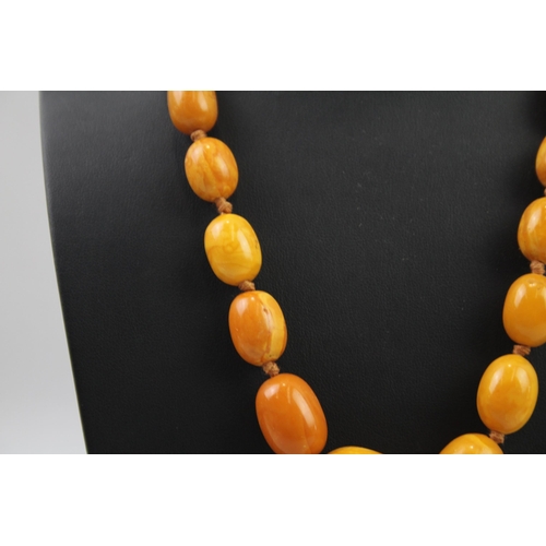 2033 - A graduated bakelite beaded necklace - approx. gross weight 51g