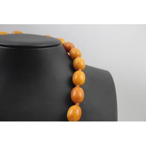 2033 - A graduated bakelite beaded necklace - approx. gross weight 51g