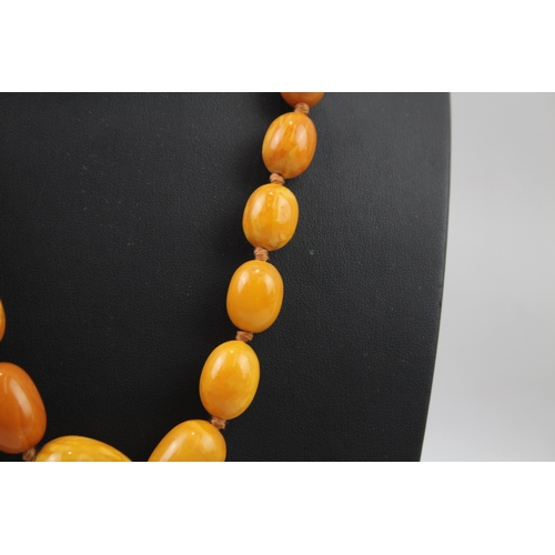 2033 - A graduated bakelite beaded necklace - approx. gross weight 51g