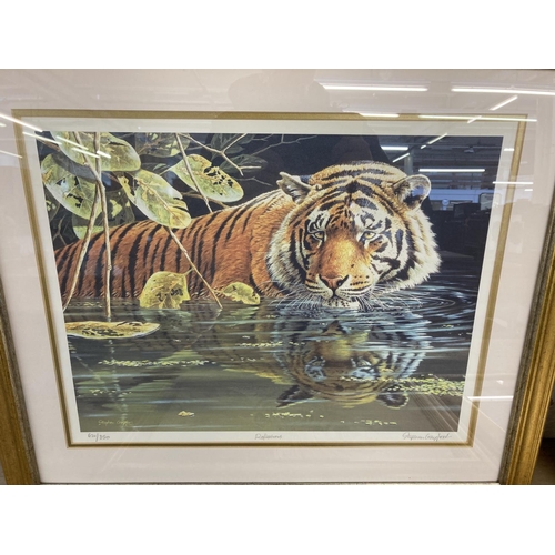 289 - Four framed tiger prints to include three Stephen Gayford pencil signed limited edition etc.