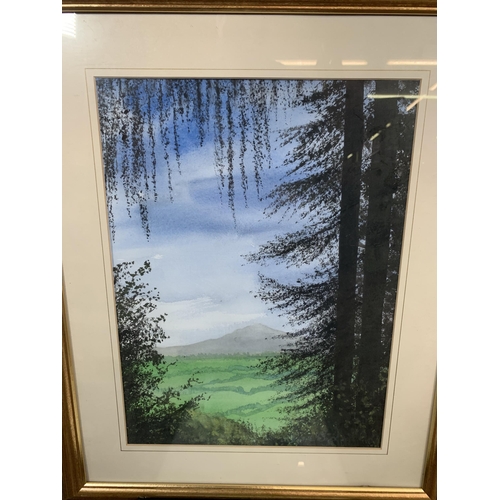 653 - Two framed pictures, one watercolour of landscape scene signed lower right and one J. Shaw Robin Hoo... 