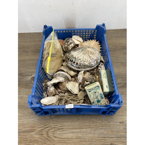 593 - A large collection of seashells and specimens