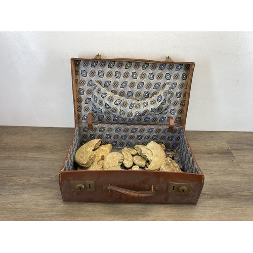 596 - A brown leather briefcase containing a collection of ammonite fossils