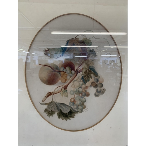 659 - A Victorian gilt framed fruit scene watercolour signed lower right and dated 1882 - approx. 67cm hig... 