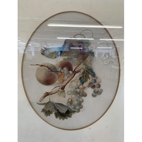 659 - A Victorian gilt framed fruit scene watercolour signed lower right and dated 1882 - approx. 67cm hig... 